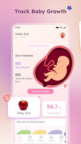 Pregnancy Tracker & Baby Diary screenshot 2